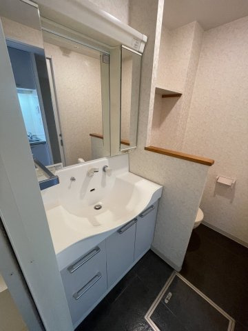 Ｕ－ＨＯＵＳＥ南柏の洗面所|607号室の写真です