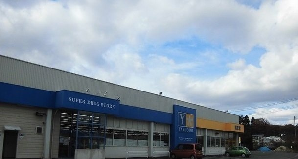 セイバリーハウス北上Ｂの周辺|薬王堂北上村崎野店まで3400m