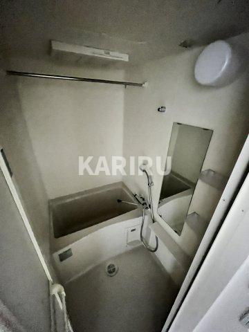 アドバンス大阪バレンシアの浴室