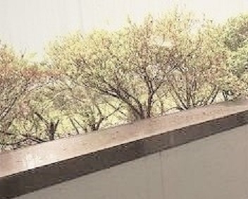 武蔵村山市学園１丁目の賃貸マンションの展望
