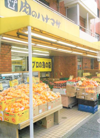 グランハイツ錦糸町の周辺