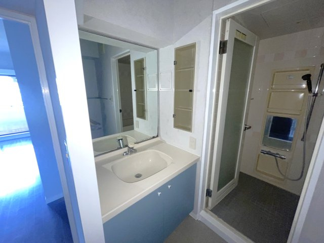 ライオンズガーデン千葉八街の洗面所