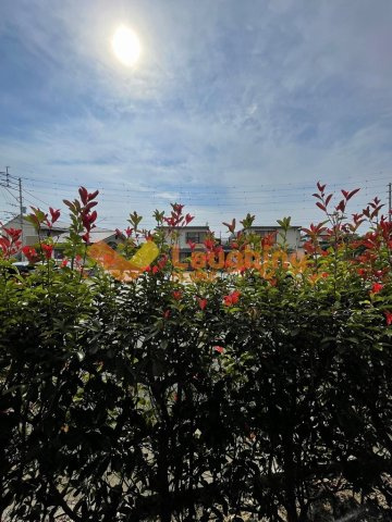 ハイネスコーポの展望