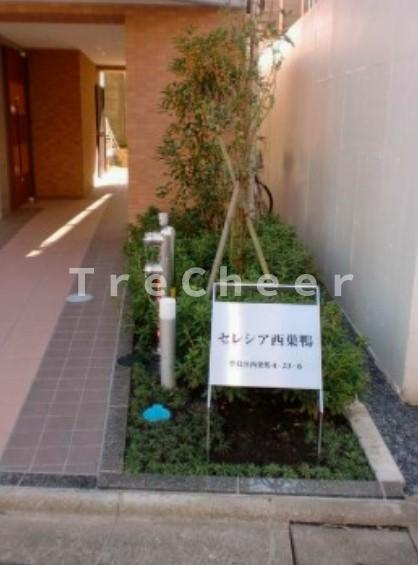 セレシア西巣鴨のその他