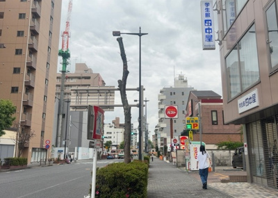 【展望】 | リビオレゾン八王子レジデンス | 眺望を気にして物件を探す場合、前面に建物が建っていないか現地で確認しましょう！前面に建物があると景色はもちろん、日当たりや風通しにも影響が出てきます。住んだ時のことを想像しながら現地見学をしましょう。