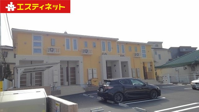 エバーグリーンC