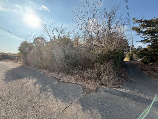 東金市西中　中古戸建 の前面道路含む現地写真