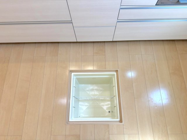 戸建 八潮市大字南川崎の収納|床下収納