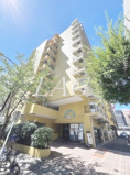 東京ベイビュウの画像