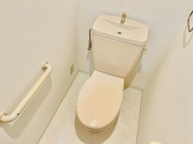 グランシャリオ天川のトイレ