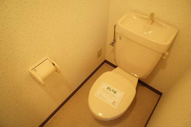 メゾンアヴェニールのトイレ