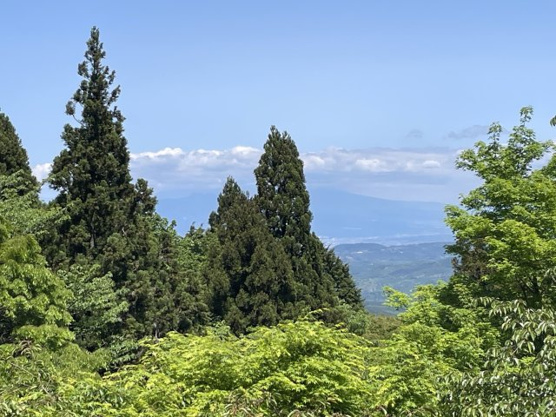 【展望】 | 天城高原別荘地　戸建