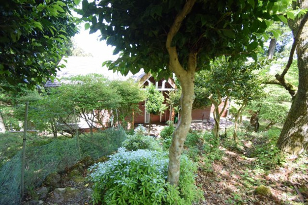 【外観】 | 天城高原別荘地　戸建