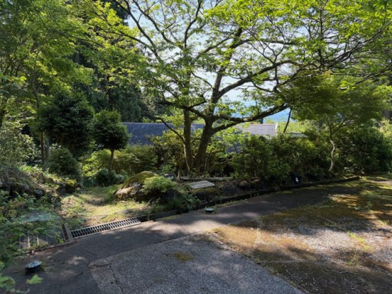 【前面道路含む現地写真】 | 天城高原別荘地　戸建