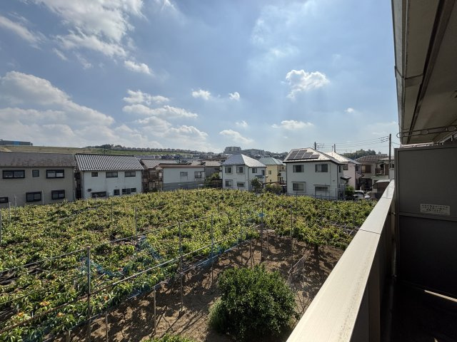 ヴェルランサーの展望