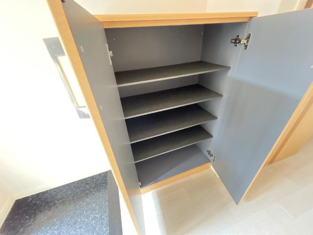 【その他】プラソン