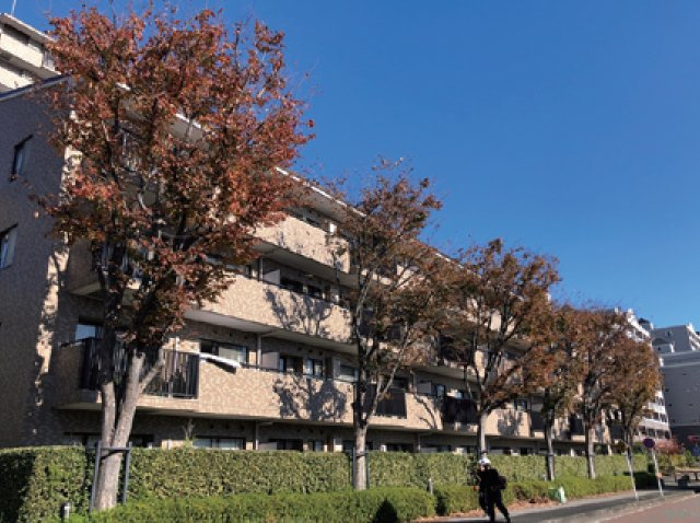 新本牧壱番館【仲介手数料無料】