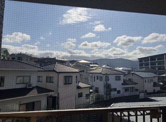 【展望】