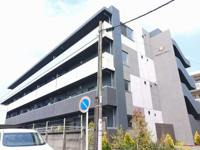 スリールステラの画像