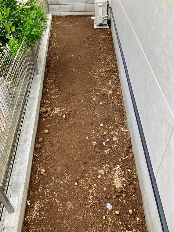 早稲田戸建の庭