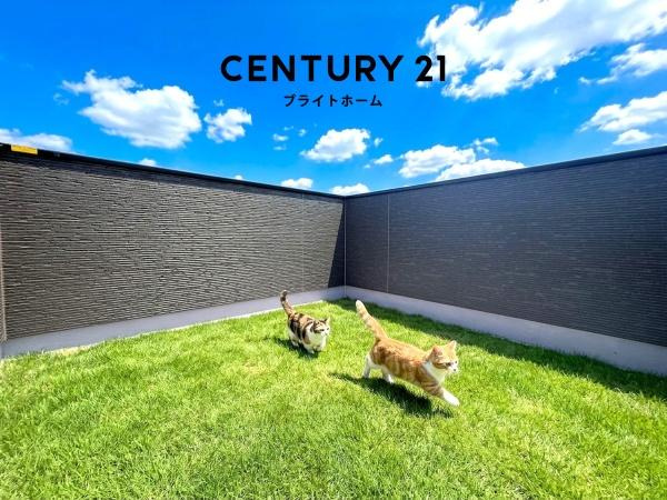 横浜市中区寺久保の新築一戸建のバルコニー|広さも十分のルーフバルコニー！！
陽当り・通風良好で洗濯物も良く乾きます。
※猫、芝生はＣＧでの参考レイアウトです。