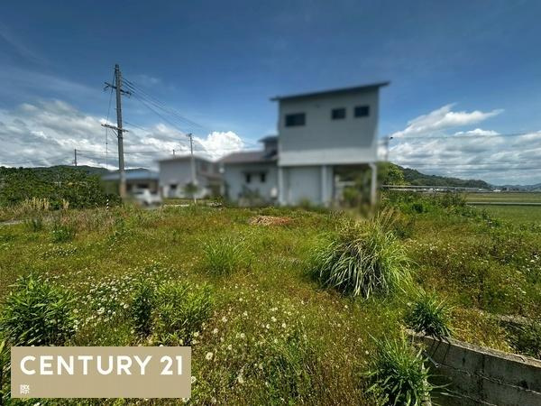 御坊市湯川町丸山　土地のその他