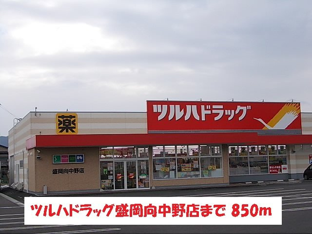 エルミタージュ　竹Ⅱの周辺|ツルハドラッグ盛岡向中野店まで850m