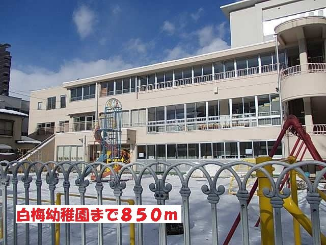 ソフィア・Ｋの周辺|白梅幼稚園まで850m