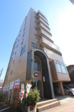 BELLISの画像