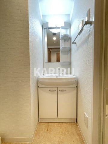 Garden House新今里 の洗面所