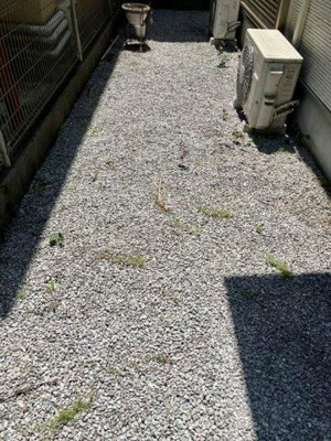 【庭】 | 日吉町戸建