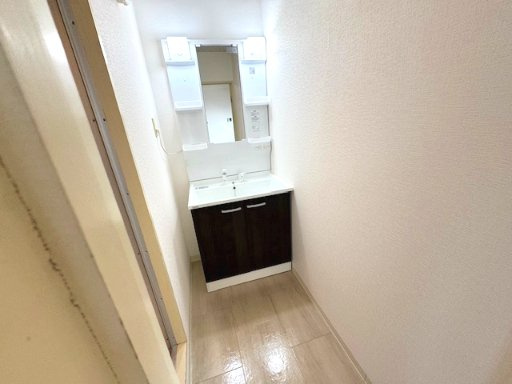 メゾンドソレイユの洗面所|同間取りの反転タイプ