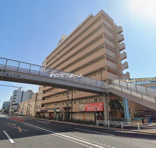 ハイネス東大島　5階　リ　ノベーション済の外観