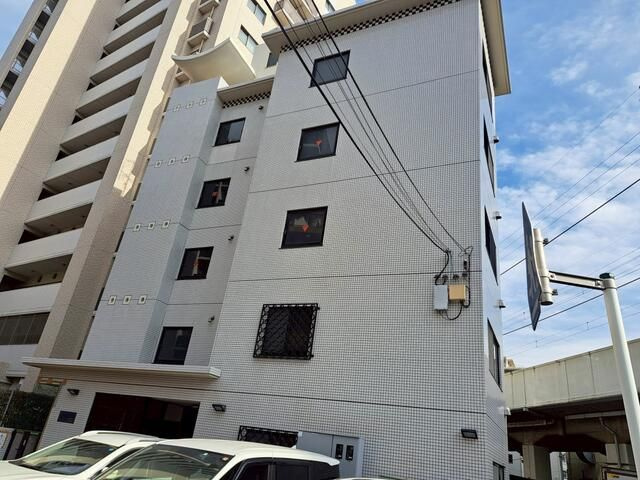 ステラ伸光