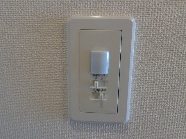 グリーン窓香のその他