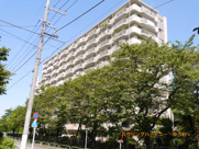 蓮根ファミールハイツ１号棟の画像