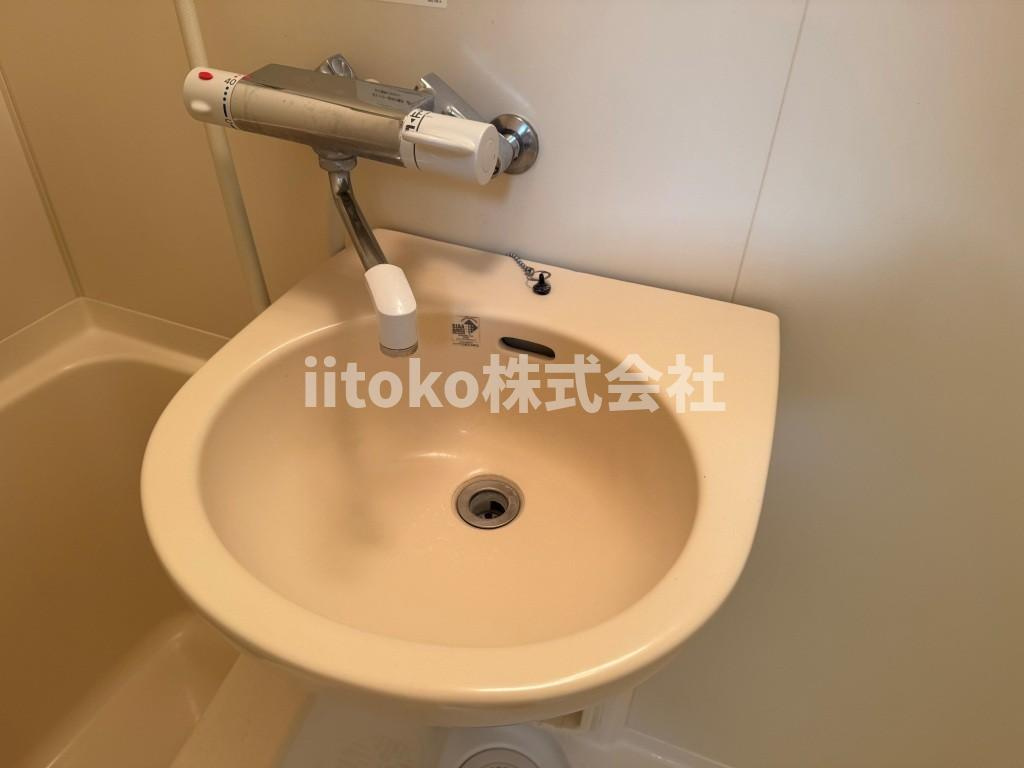 プチグランデ押上の洗面所