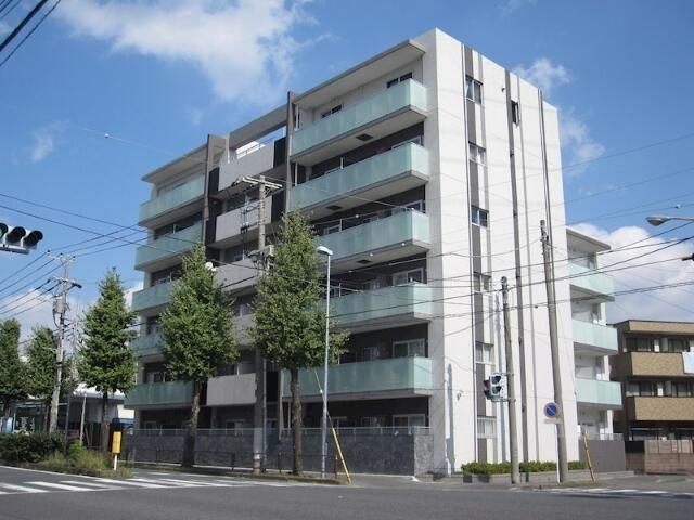 ライムグリーン