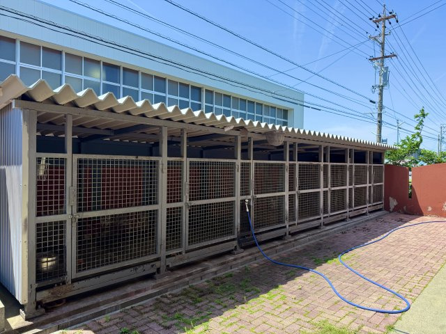 中央区新橋町のその他|めちゃくちゃ大きなドックガレージです。ドッグランとしても利用できますよ♪