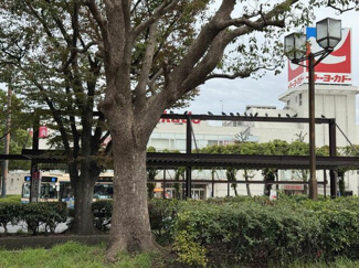  | イトーヨーカ堂上永…まで1,200m 