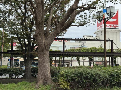  | イトーヨーカ堂上永…まで1,200m 