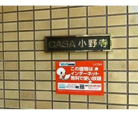 ＣＡＳＡ小野寺のその他