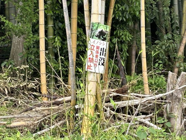 あきる野市草花中古戸建の周辺