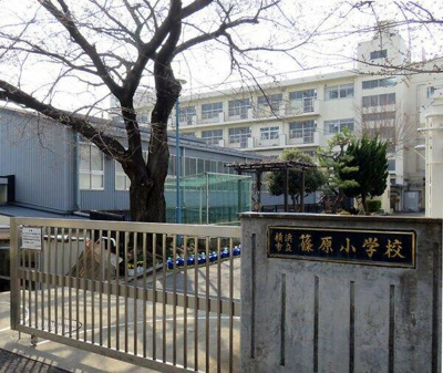  | 横浜市立篠原小学校まで359m 