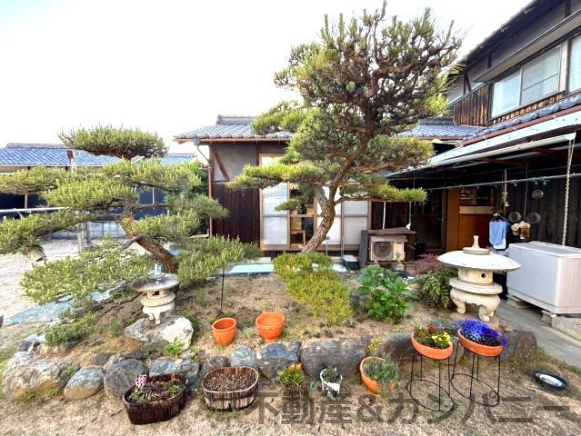 勝岡町の中古のおうち　松山市勝岡町中古戸建の庭|お庭で自由な時間を過ごせます