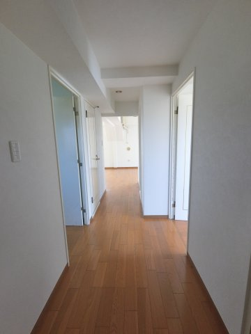 【その他】