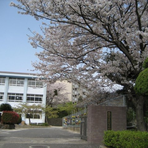 花園町一戸建の周辺