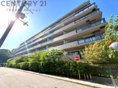 芦屋ハイツ翠ケ丘の画像