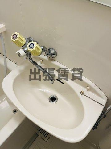 仲介手数料0円！セピアパレスTAKEMIの洗面所