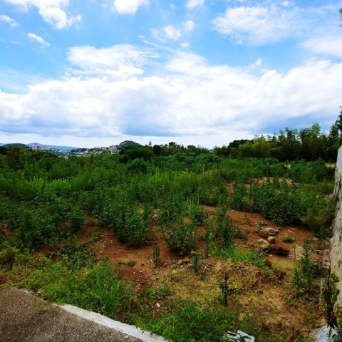 大和町土地の外観